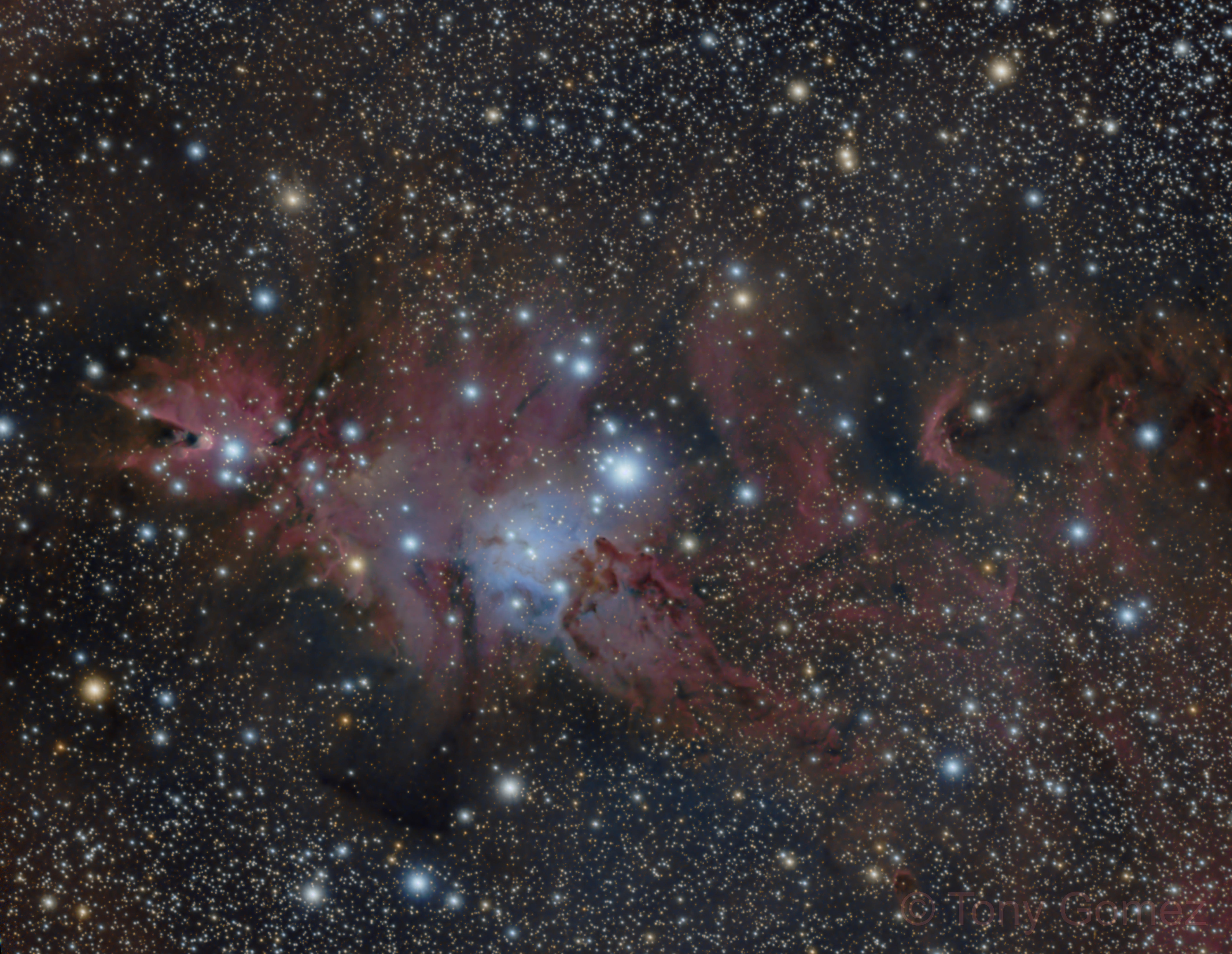 cone nebula galaxy