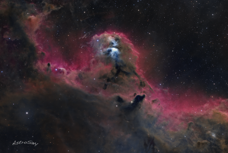 SVX130T - Barnard 30 & 31