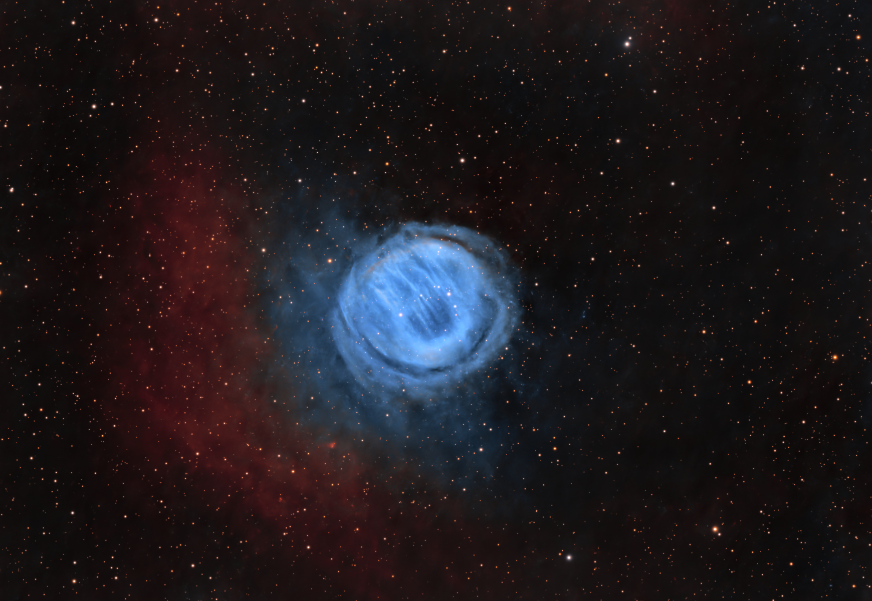 SVX152T - Bear Claw - Brian Poole