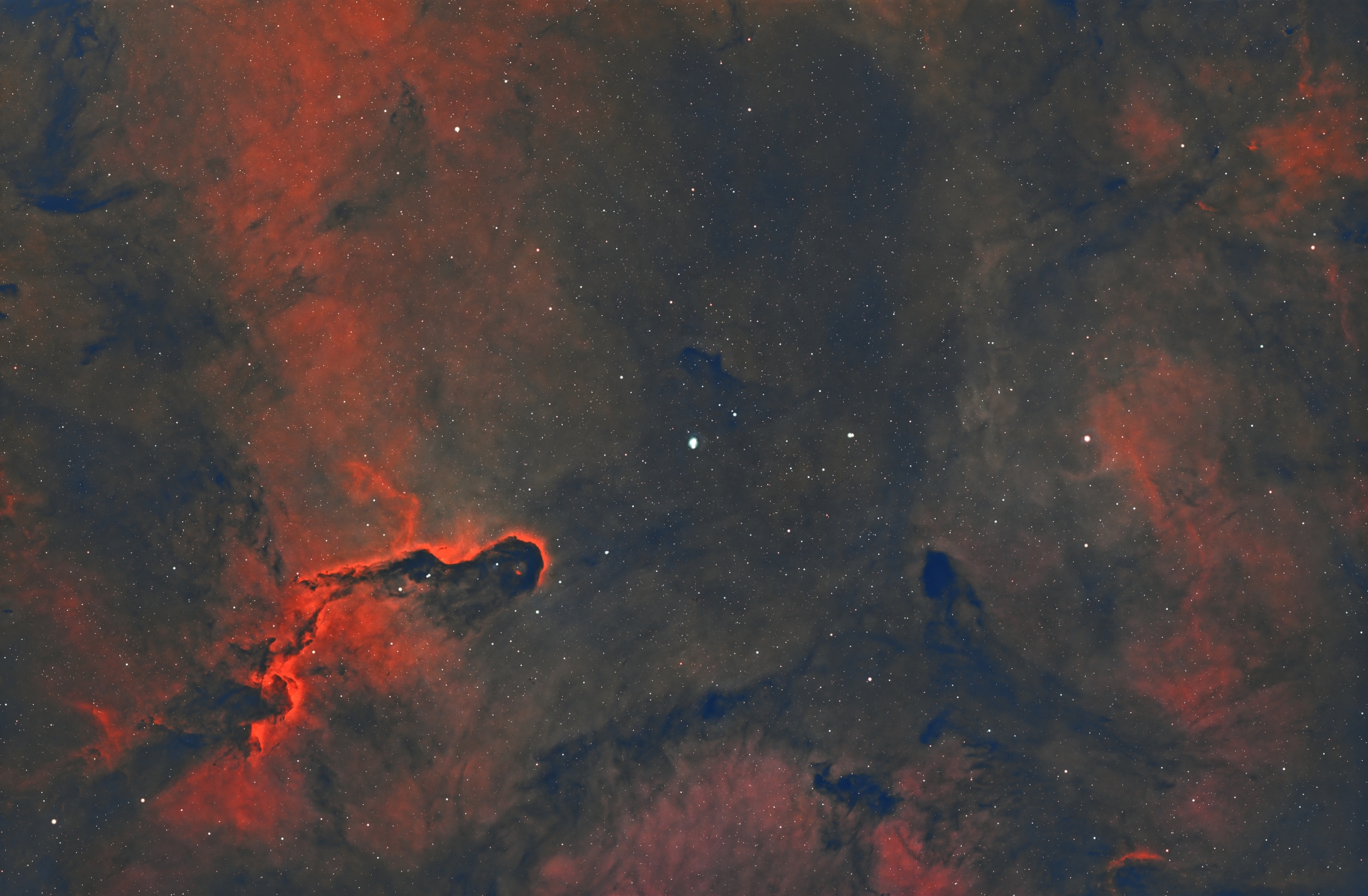 SVX102T - NGC 1396 - Stephan Lesher