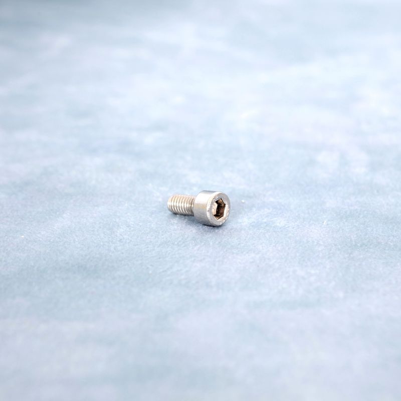 6mm Hex- Socket Caphead Screw 6mm Hex- Socket Caphead Screw