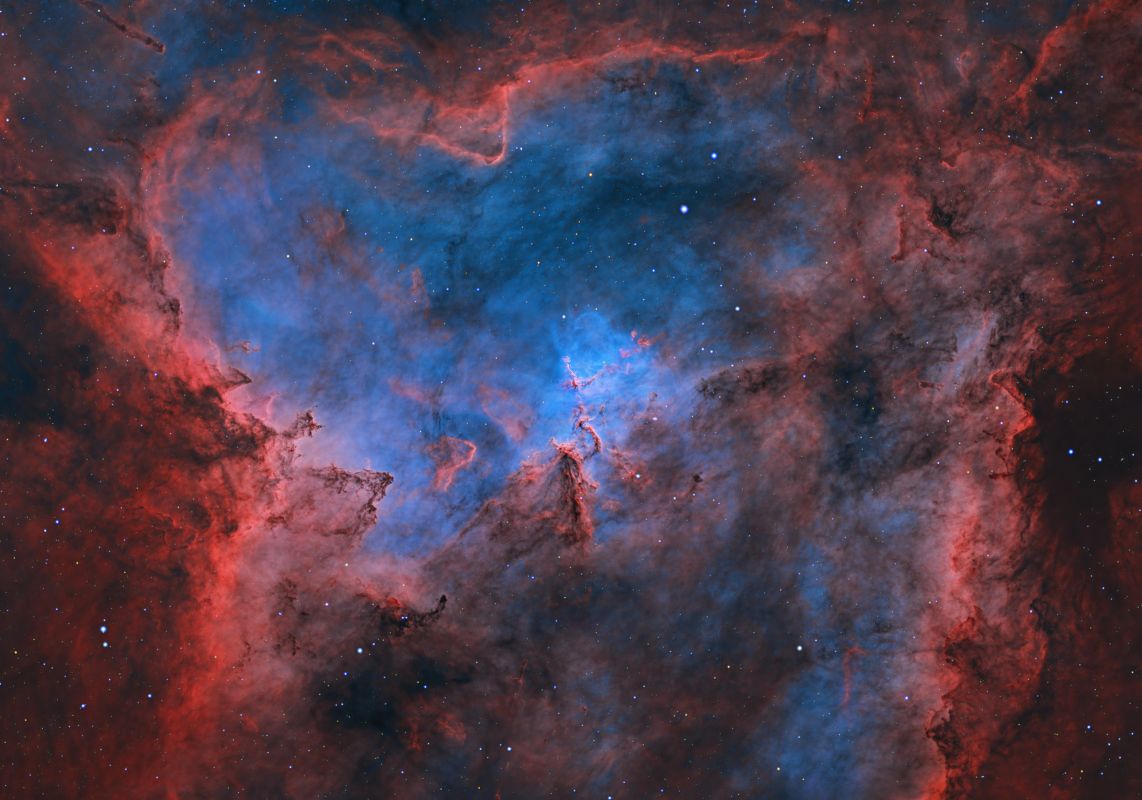 エスター コロッタ① Billy Goat 18