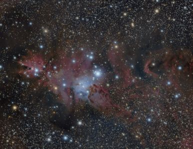 ​"Cone Nebula and Christmas Tree Cluster" - by DrGomer (Astrobin) (December 25, 2020)