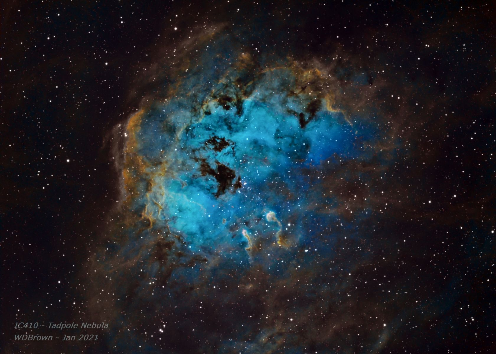 ​"IC410 The Tadpole Nebula" - by Bill Brown (January 29, 2021) - Stellarvue StellarShot