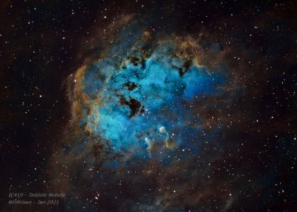 ​"IC410 The Tadpole Nebula" - by Bill Brown (January 29, 2021)
