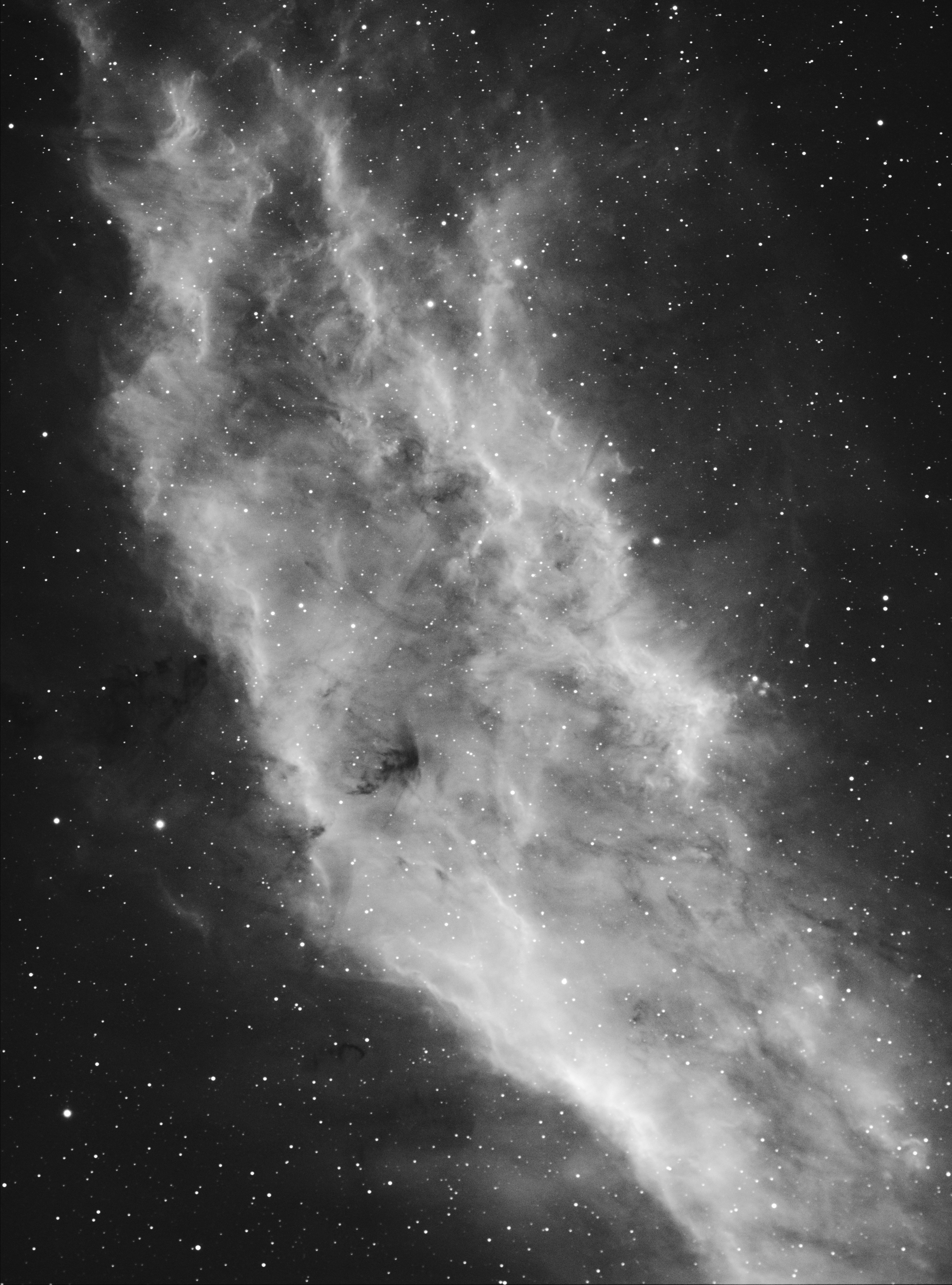 ​"The California Nebula" (NGC 1499) - by William Gottemoller (April 16, 2021)