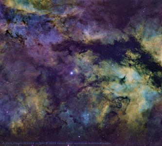 SVX140T -  IC1318