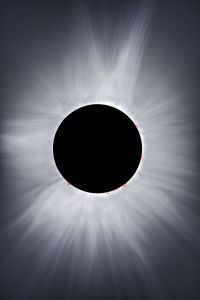 SVX102T - Totality