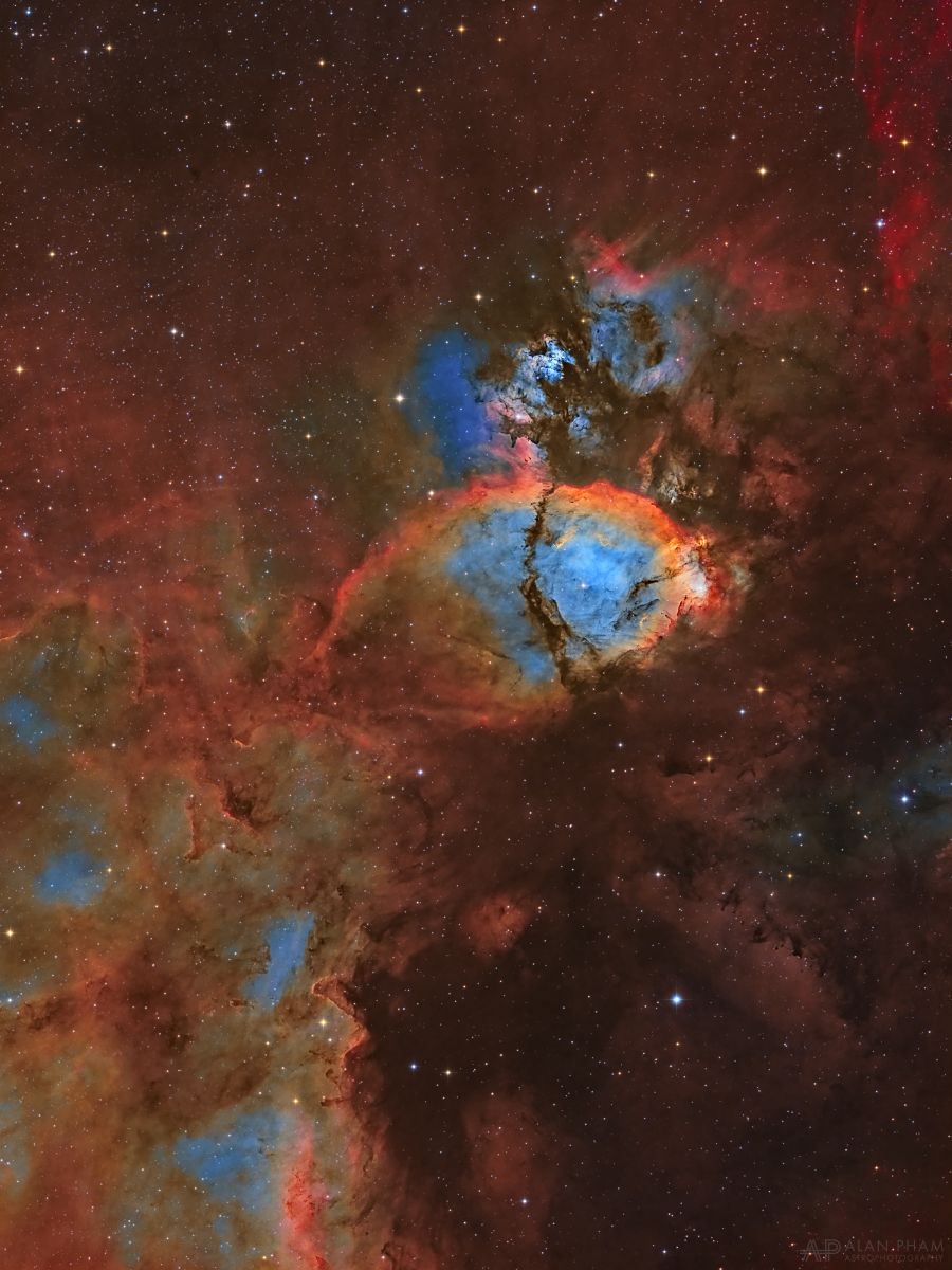 IC 1795 - The Fishhead Nebula and Neighbors – Alan Pham - Stellarvue