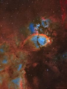 IC 1795 - The Fishhead Nebula and Neighbors – Alan Pham