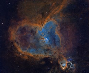 SXX090T - The Heart