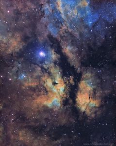 IC1318 Butterfly Nebula - Douglas Struble