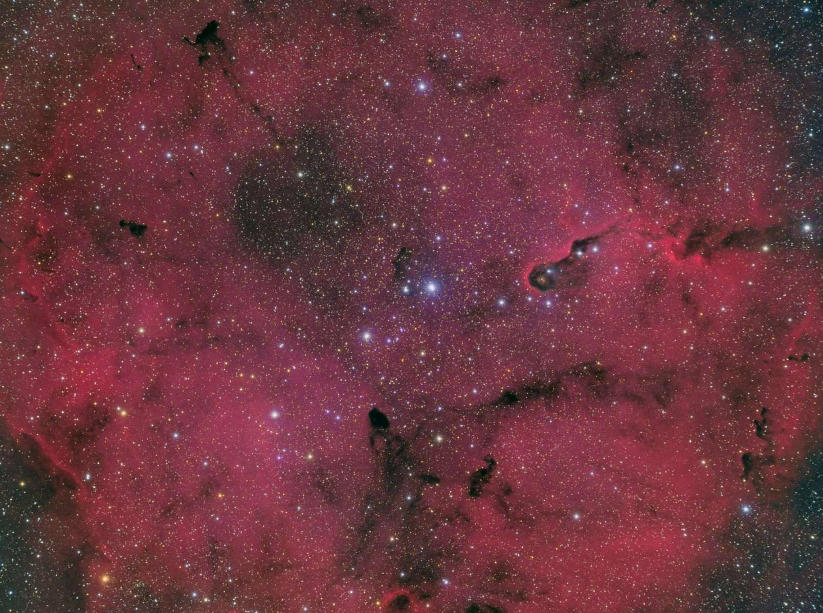 Cepheus IC1396 - Dave Weixelman - Stellarvue