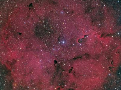 Cepheus IC1396 - Dave Weixelman