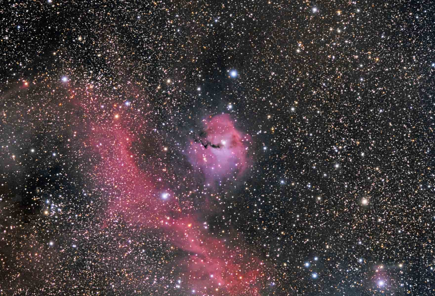 IC 2177 (Seagull Nebula) – Bill Clugston - Stellarvue