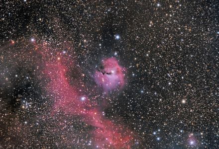 IC 2177 (Seagull Nebula) – Bill Clugston