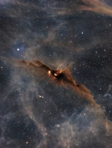 SVX130T - Cosmic Bat