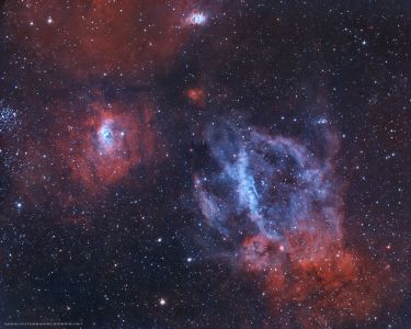 ​Sh2-157 Lobster Claw - Douglas Struble