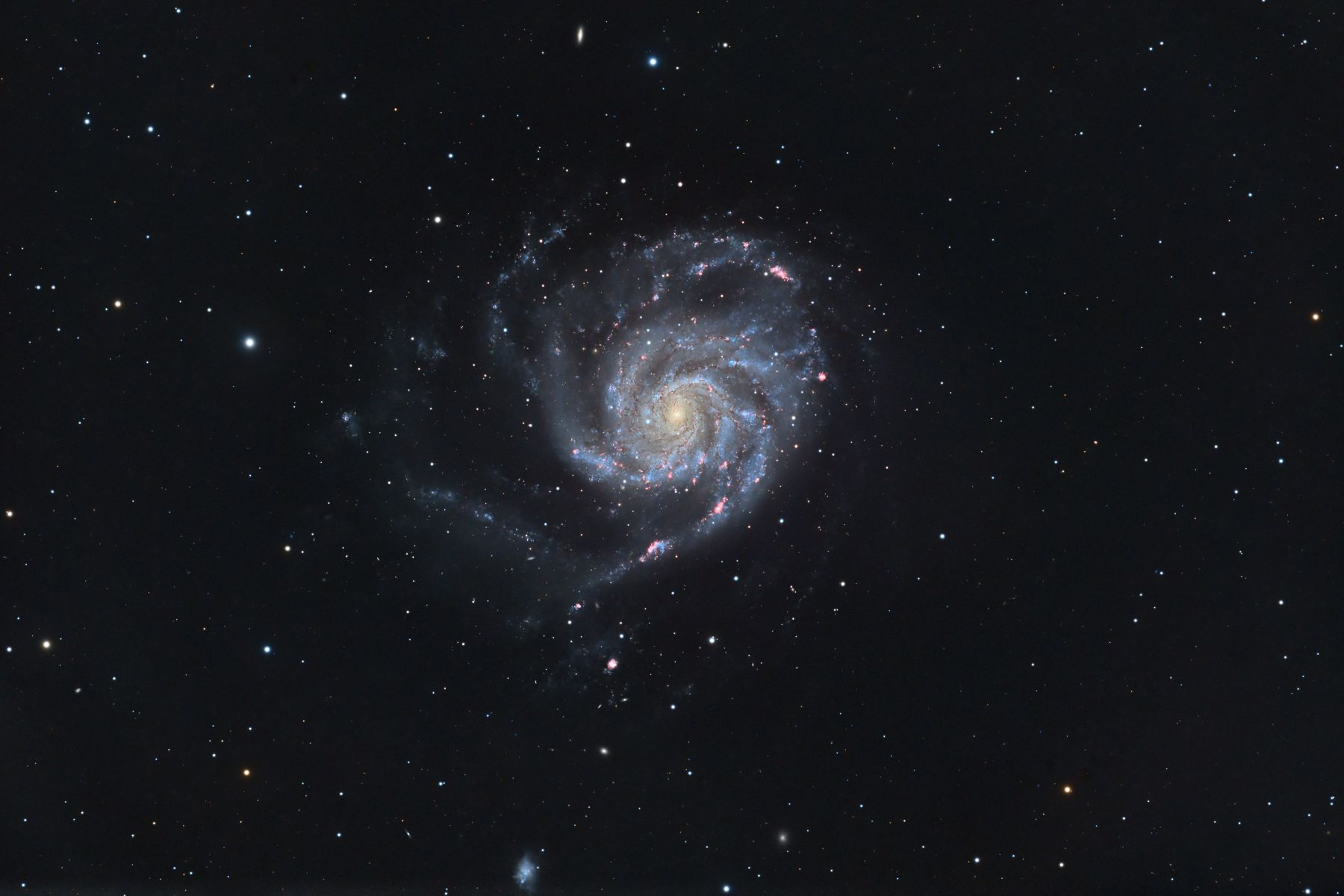 SVX90/152T - M101 - Brian Meyers