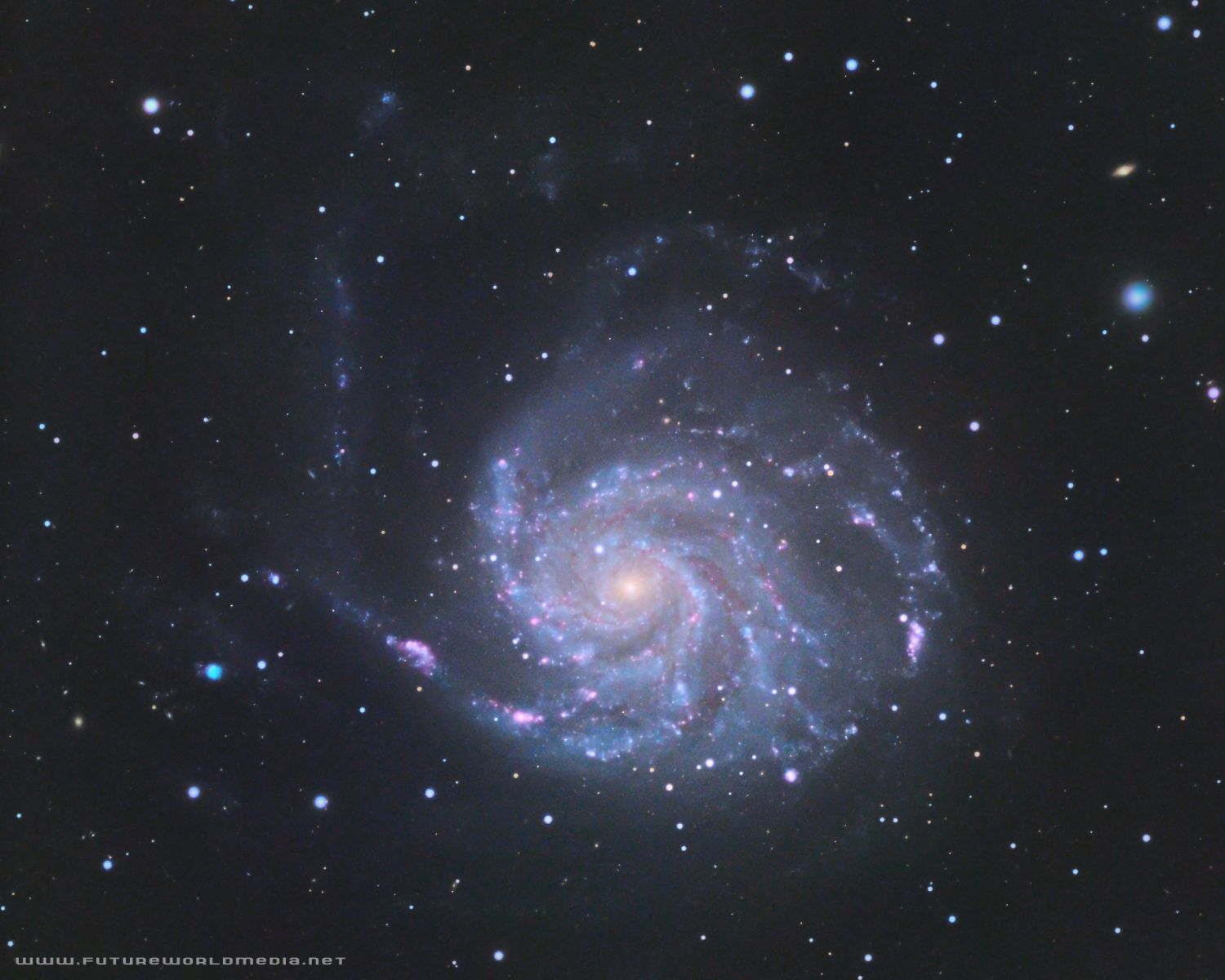 M101 Pinwheel Galaxy – Douglas J Struble - Stellarvue