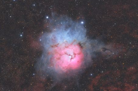 SVX152T - Trifid