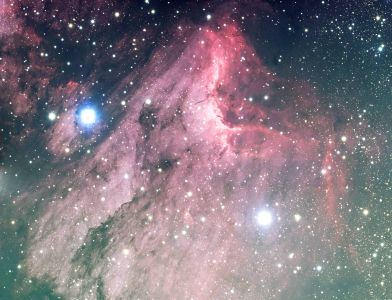 IC57 - William Olson