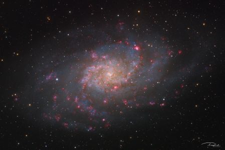 SVX180T - M33