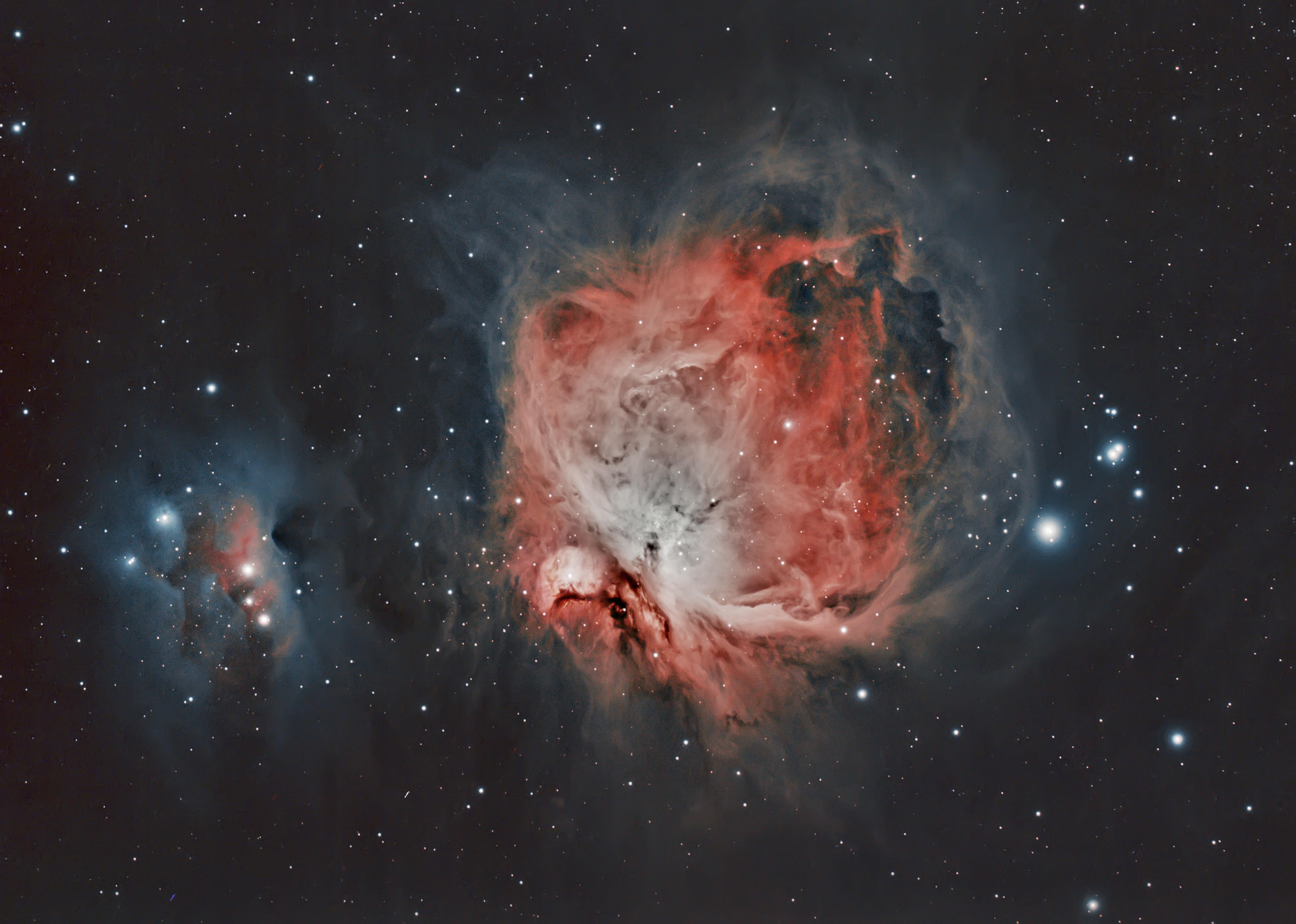 M42 - Hawk Wolinski