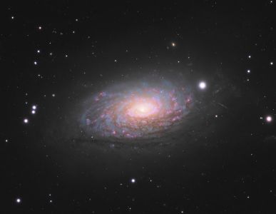 SVX180T - M63
