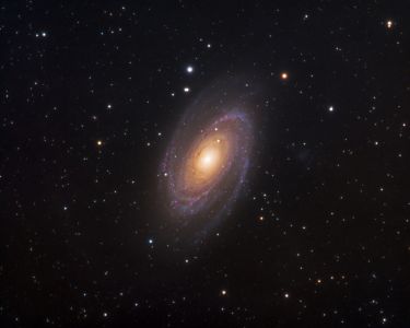 SVX130T-R - M81