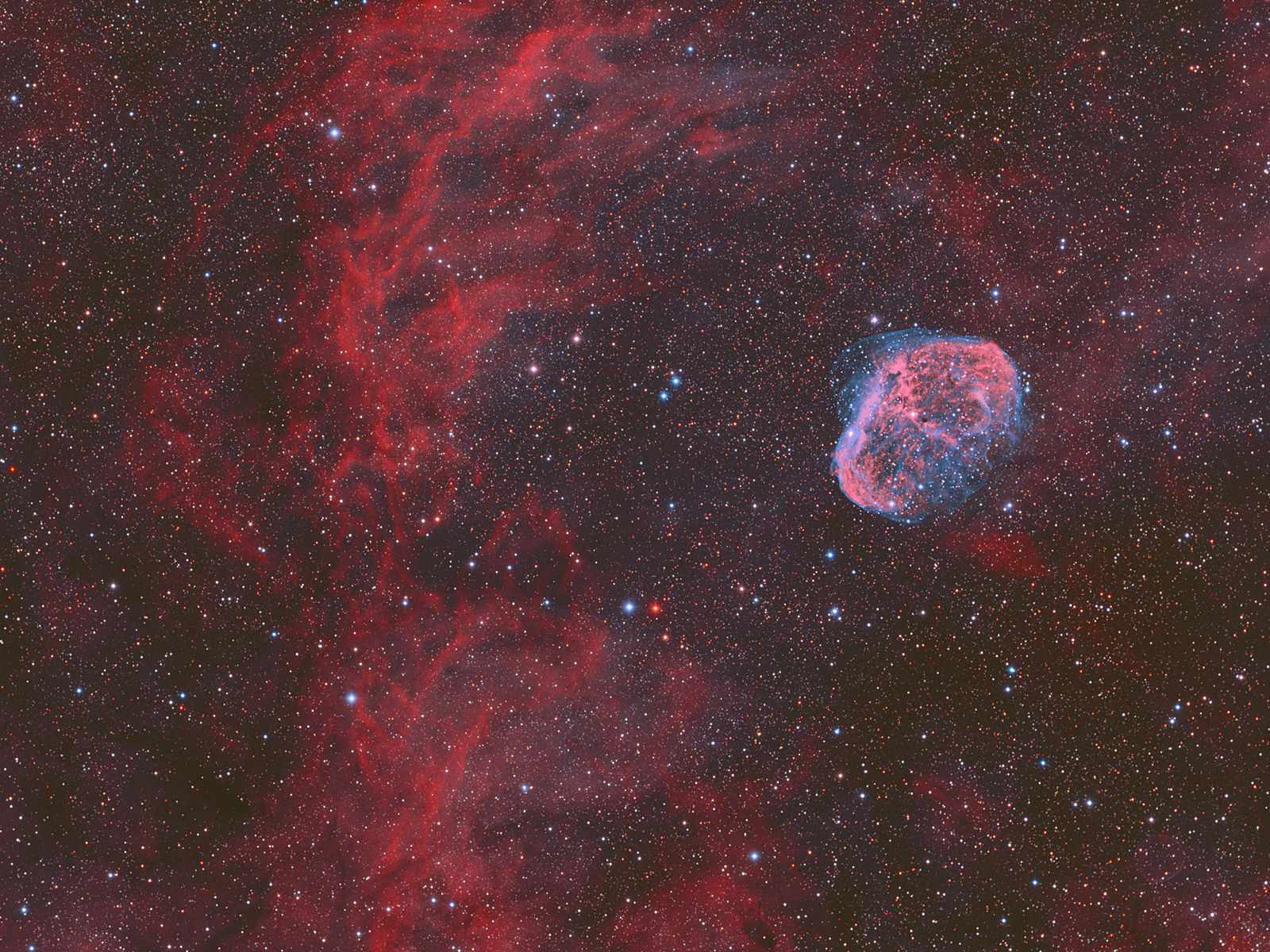 SVQ100 images the Crescent Nebula - Vic Maris