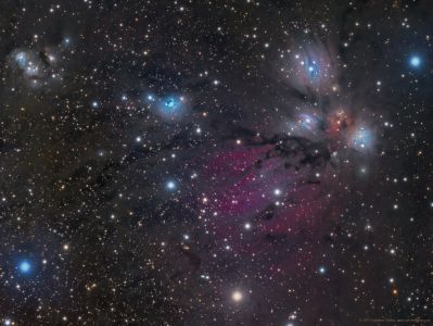 NGC 2170 Region in Monoceros - Jon Talbot
