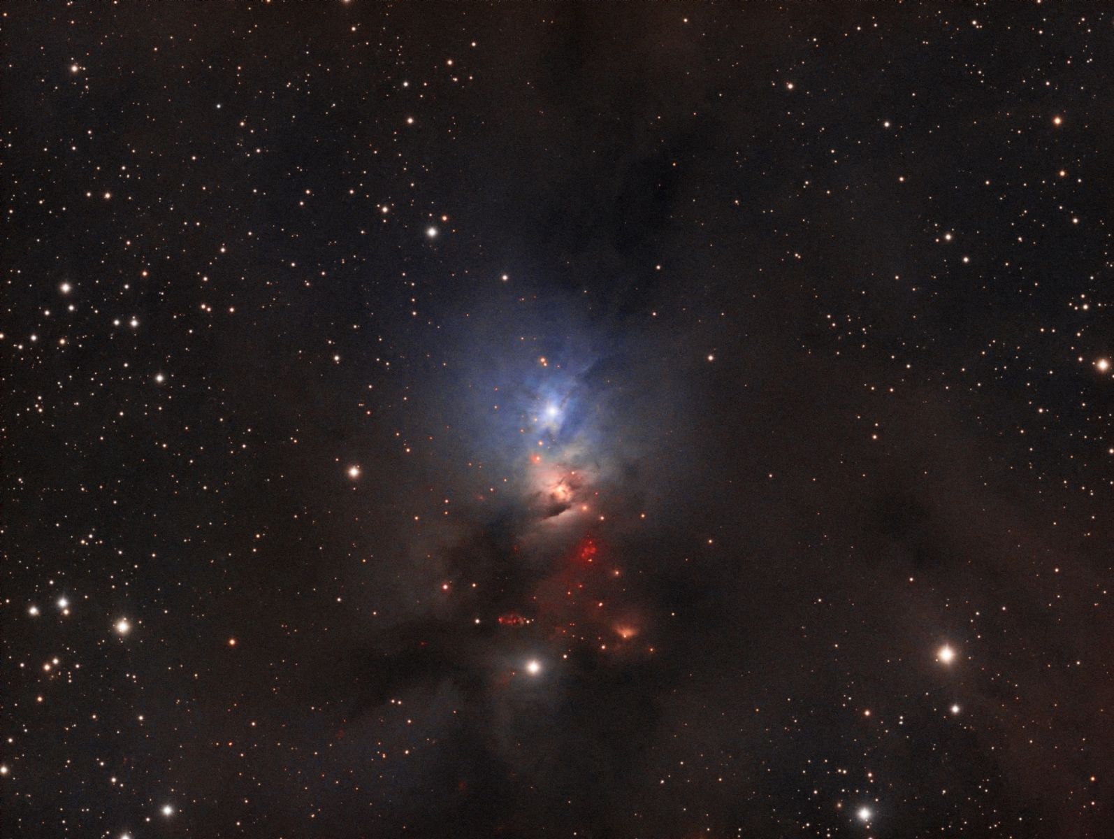 NGC 1333 - Jon Talbot - Stellarvue