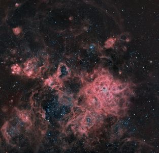 NGC2070, Tarantula Nebula (Ha LRGB) - Jaime Felipe Ramirez Narvaez