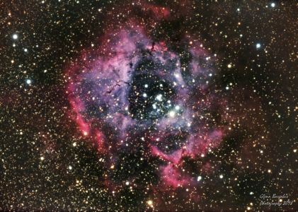 NGC2238 Rosette Nebula - Glenn Bargabus