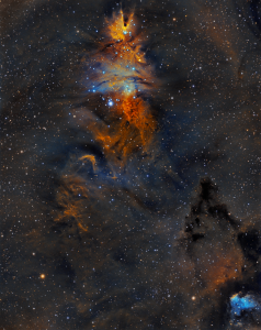 NGC 2264 - Stan Smith
