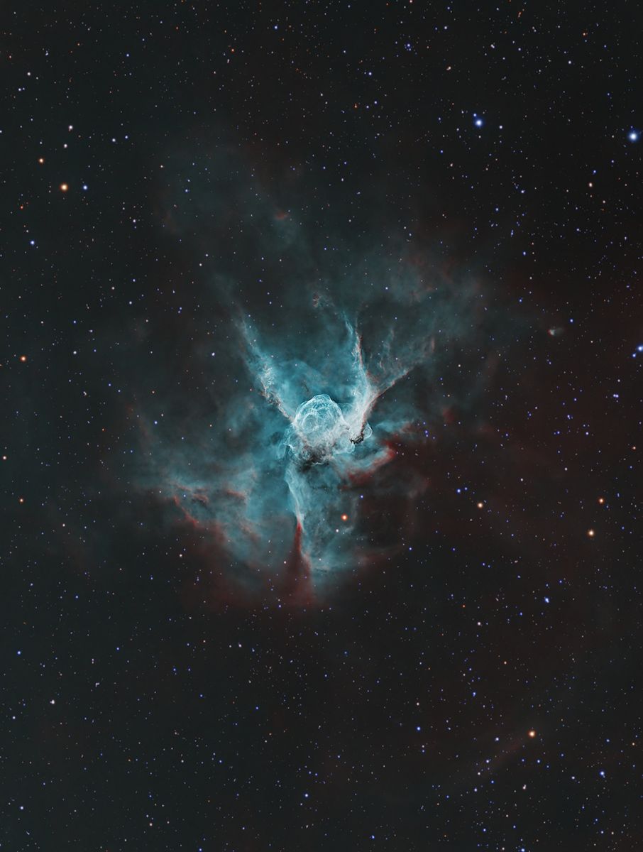 SVX130T - NGC 2359 - Tom Wideman