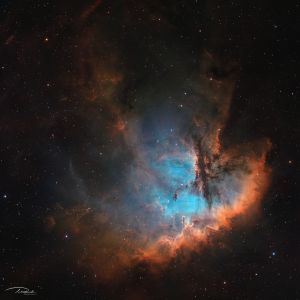 SVX180T - NGC281