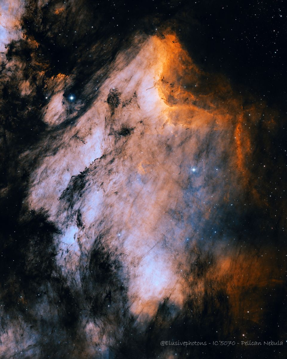SVX130T-R - Pelican - Craig Sherris
