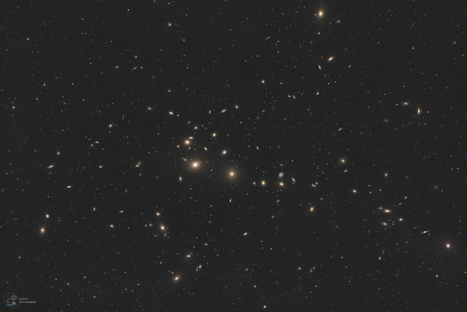 SVX152T - Abell 426 - Clint Lemasters
