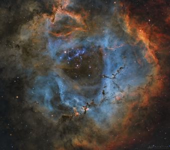 Rosette Nebula (SHO) – Alan Pham
