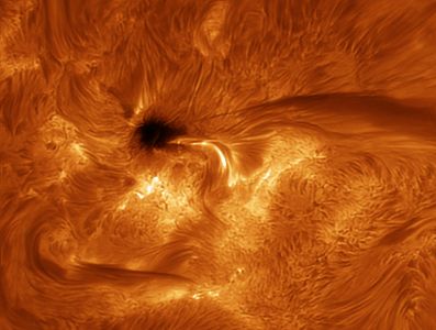 SVX152 - Sun